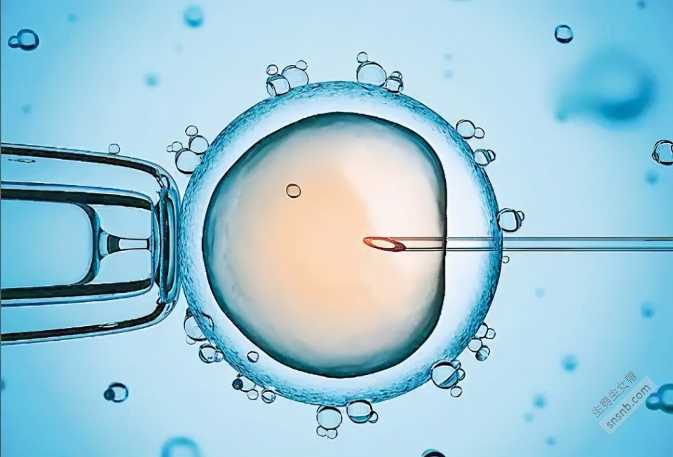 对于冷冻胚胎移植，自然周期还是人工周期更好？