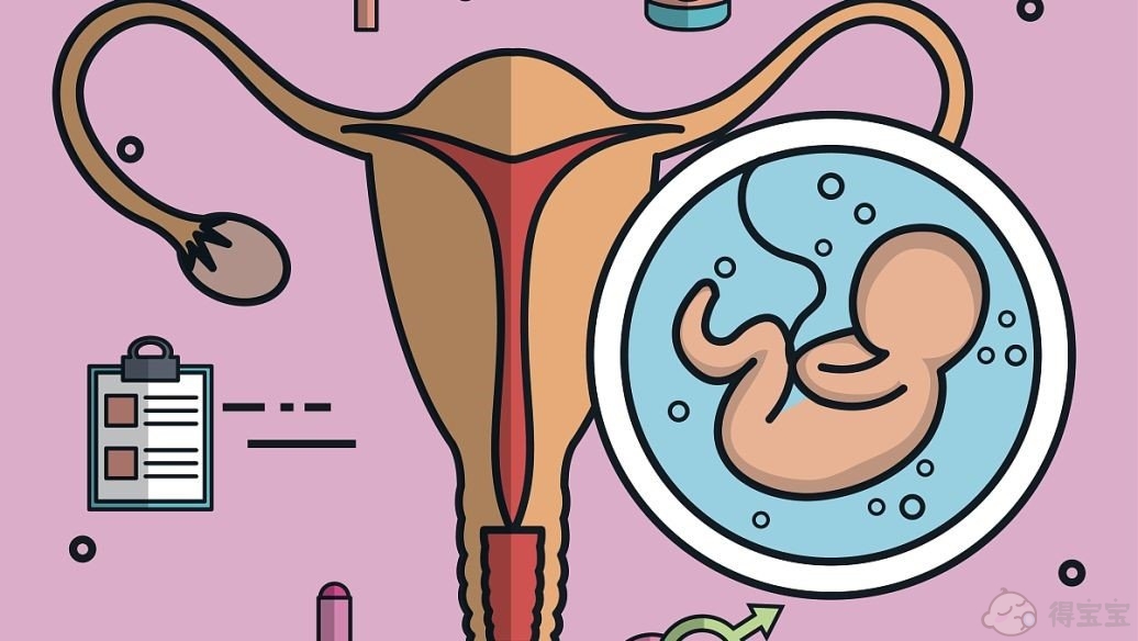 试管婴儿短期方案是否适用于卵巢早衰的妇女？