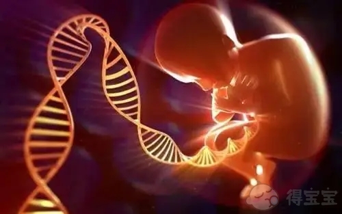 绍兴妇幼保健院可以做试管吗：原始子宫可以做试管婴儿吗？