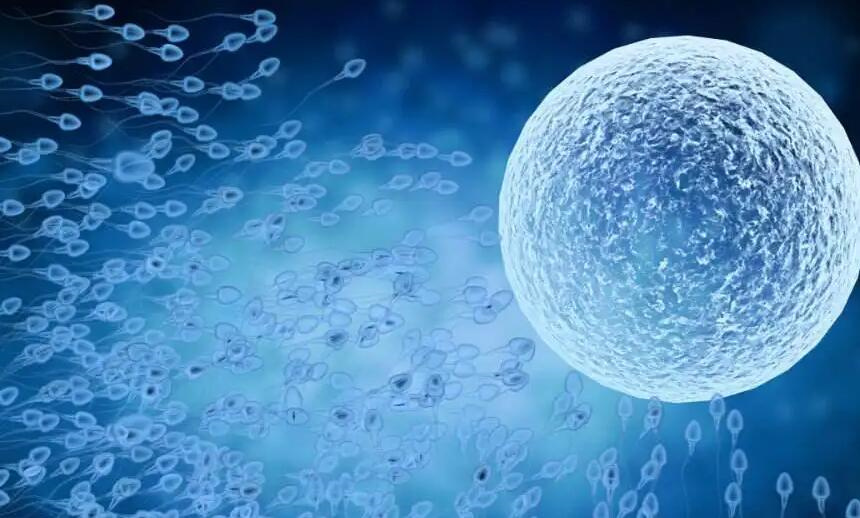 周口供卵代生哪家机构号：陕西成功率高的生育机构排名，使用供体卵子的体外受精价格分类表
