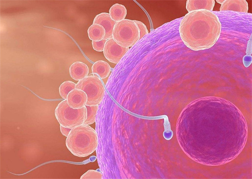 唐山助孕高端群-哪些因素影响体外受精的费用？