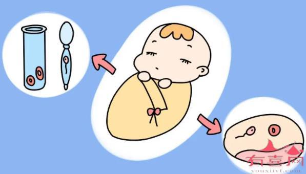 赣州a卵b怀群-试管婴儿可以实现同性生育吗？