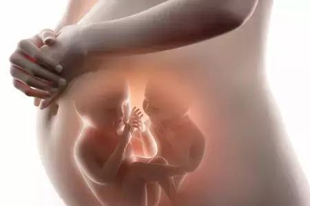 多胎妊娠_减胎_足月妊娠正常胎儿心音