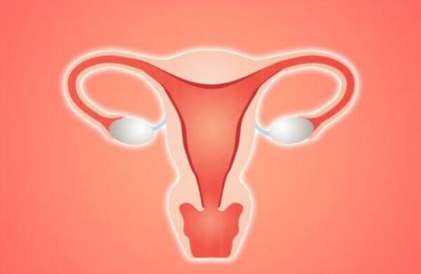 唐山供卵试管中介哪家好-美国试管婴儿：子宫内膜增生症会影响胚胎受精吗？