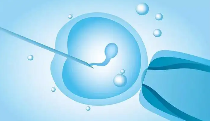长沙54岁合法助孕：怀孕期间服用法尼沙明是否对胎儿有影响？