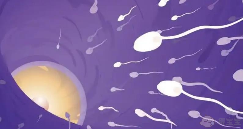 新乡les供卵中介：2023年俄罗斯精子捐献者试管婴儿详细流程分享，7步看懂后。