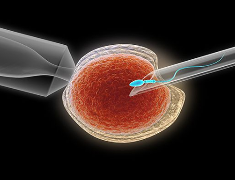 九江助孕生殖中心-试管婴儿是目前最成熟的辅助生殖技术，了解试管婴儿移植的步骤很重要