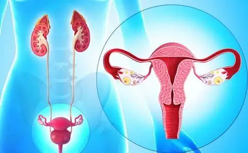 厦门60岁助孕-子宫内膜异位症做试管婴儿的成功率高吗？