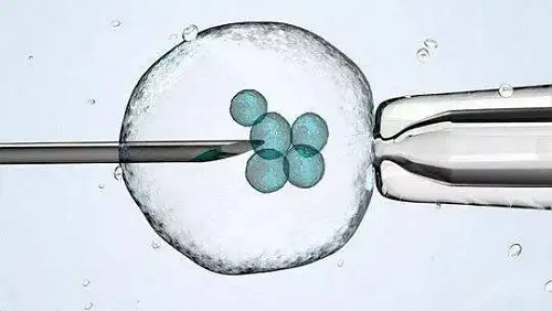 新乡供卵试管助孕中心-试管婴儿取卵后移植新鲜胚胎的条件是什么？