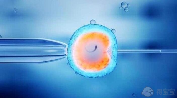 江门试管助孕生子-生第二个孩子的成功率是多少，是用第三代试管婴儿生双胞胎还是独生子女？