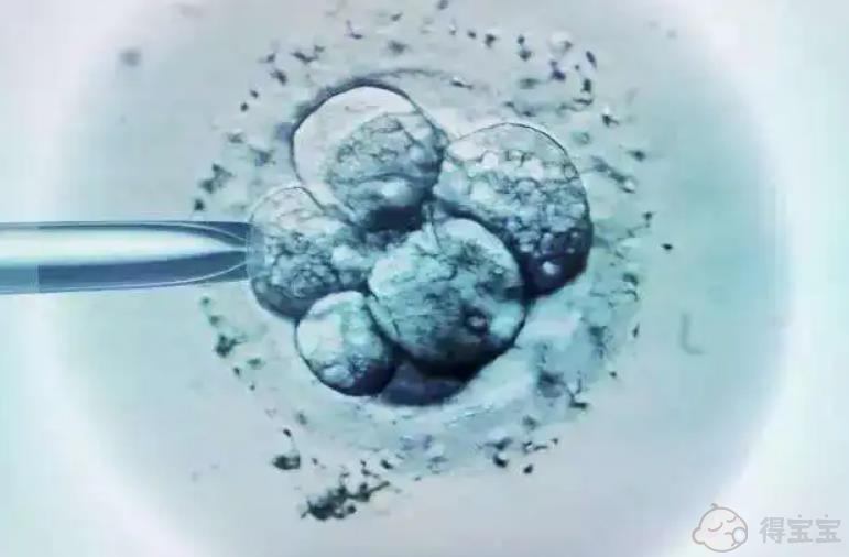 芜湖供卵助孕包生子多少钱-湖南省妇幼保健院供卵试管婴儿的费用是多少？