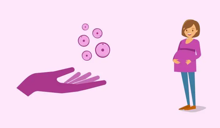 中山捐卵：用捐赠的卵子进行体外受精：四个组成部分中缺少一个 成功率显著提高一倍