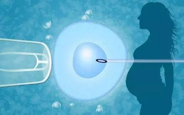 无锡供卵试管助孕包性别：试管婴儿技术提供了无限的可能性，可以满足你所有的怀孕需求