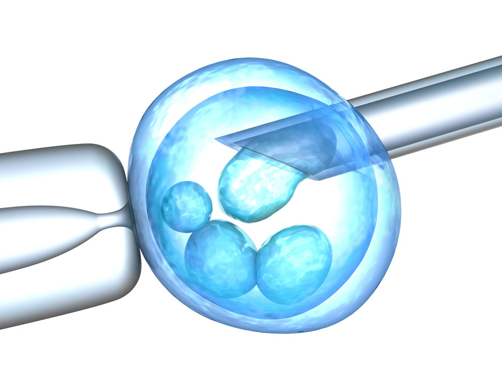宜春供卵公司生儿子-在做泰国试管婴儿之前，你真的了解胚胎植入吗？