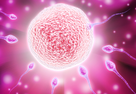 宜春供卵中介包成功：胚胎16三体是精子问题吗？我应该怎么做？